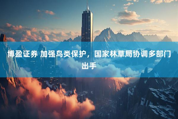 博盈证券 加强鸟类保护，国家林草局协调多部门出手